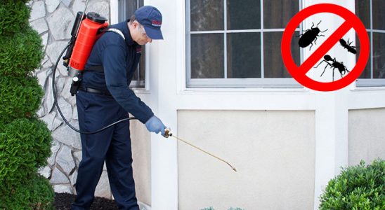 Kahta Hamam Böceği İlaçlama böcek ilaçlama ve haşere kontrolü — ilaclama-tr.com